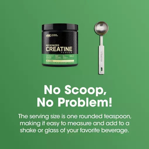Optimum Nutrition Micronized Creatine Powder Unflavored 0.66 lb (60 Servings) Greece | 61TFSQKYB