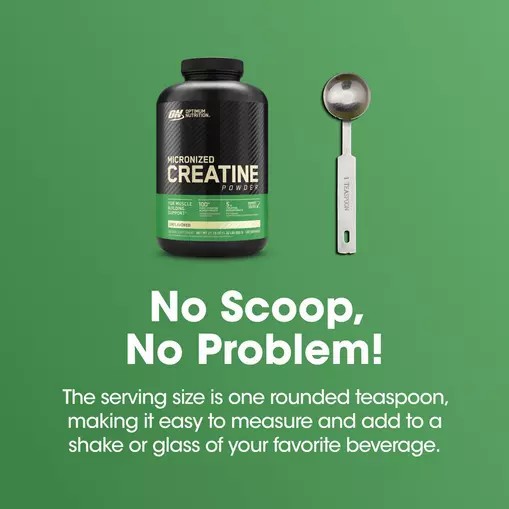 Optimum Nutrition Micronized Creatine Powder Unflavored 1.32 lb (120 Servings) Greece | 82JEAVICN